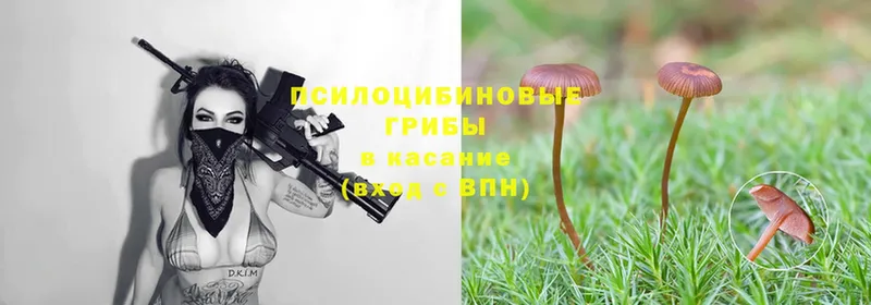 Галлюциногенные грибы Magic Shrooms  это официальный сайт  Кирсанов 